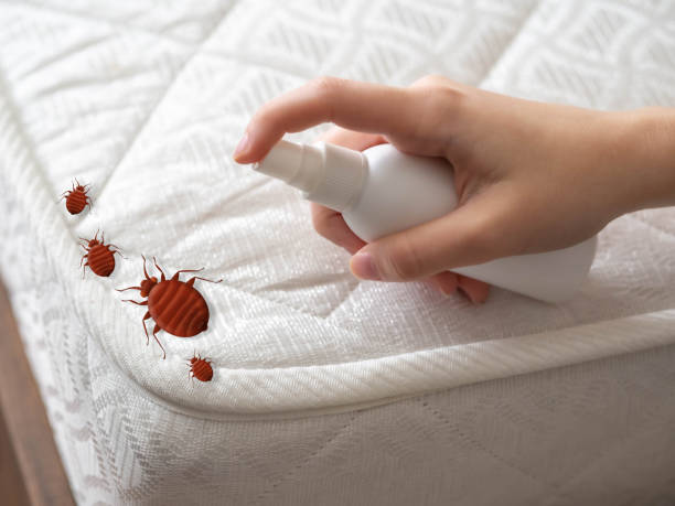 Best Residential Pest Control  in Gamerco, NM